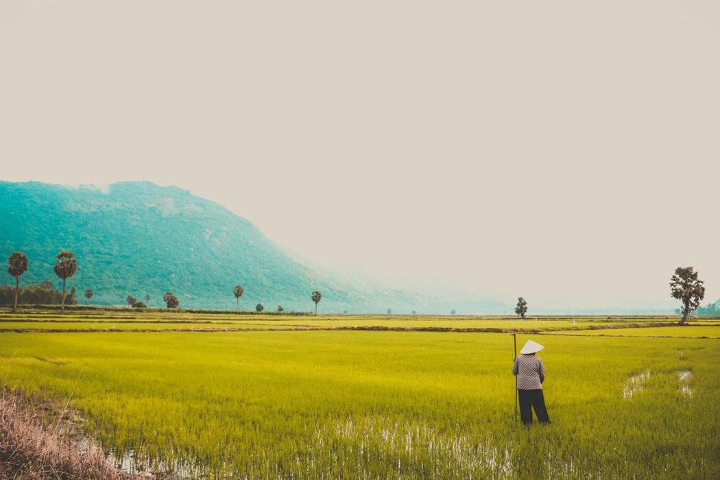 Cambodge